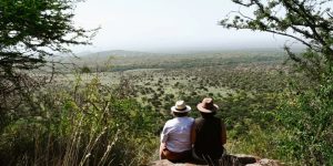 Bienvenue sur notre blog de safari au Kenya