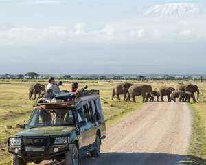 Safari 2 Jours à Amboseli départ de Nairobi