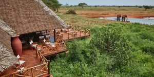 Safari 2 Jours au Kenya|Tsavo Est et Taita Saltlick