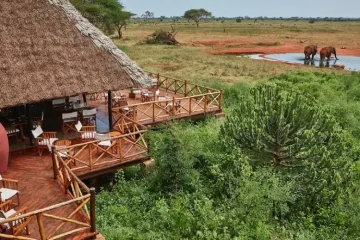 Safari 2 Jours au Kenya|Tsavo Est et Taita Saltlick
