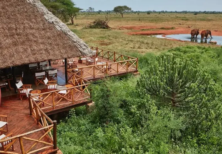 Safari 2 Jours au Kenya|Tsavo Est et Taita Saltlick
