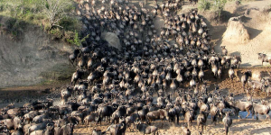 4 Jour safari à La Réserve Nationale du Masai Mara