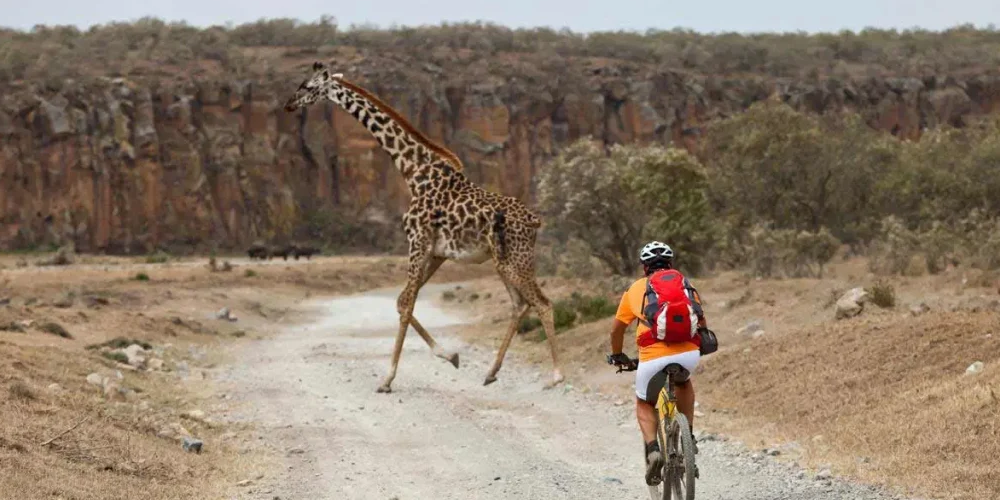 4 Jours Randonnée|Vélo|à Pied à partir de Nairobi