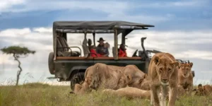 4 Jour safari à La Réserve Nationale du Masai Mara
