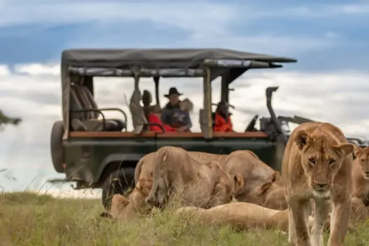 4 Jour safari à La Réserve Nationale du Masai Mara