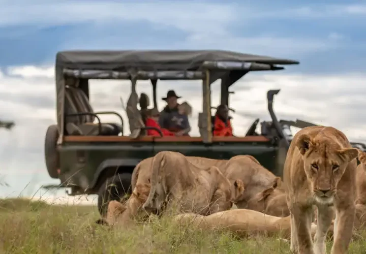 4 Jour safari à La Réserve Nationale du Masai Mara