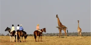 4 Jours Randonnée|Vélo|à Pied à partir de Nairobi