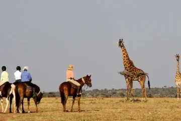 4 Jours Randonnée|Vélo|à Pied à partir de Nairobi