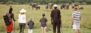 Safari-familial-de-11-jours