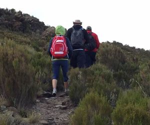6-Jour-Ascensionet-Randonnée-du-Mont-Kenya