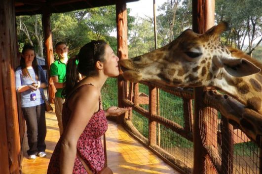 Centre des Girafes de Nairobi et Parc National de Nairobi