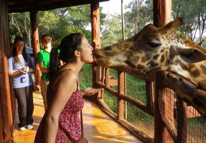Centre des Girafes de Nairobi et Parc National de Nairobi