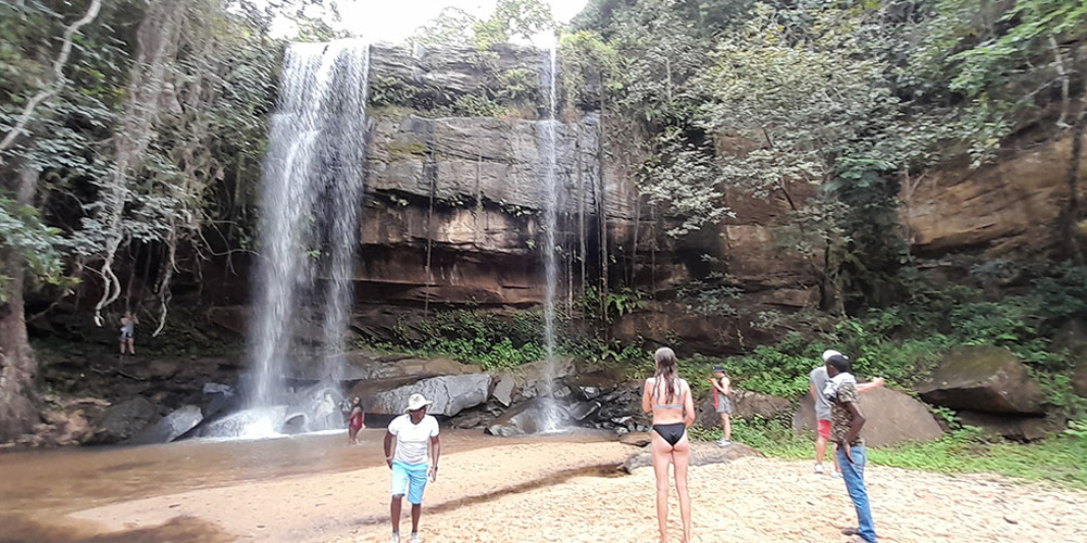 Excursion d’une Journée au Parc National de Shimba Hills