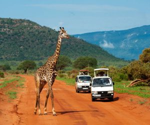 Une-Journéede-Safari-à-Tsavo-Est