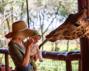 Visite-du-Nairobi-Giraffe-Centre-et-du-parc-national-de-Nairobi