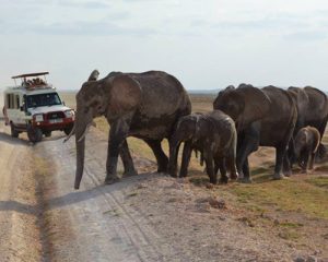 13-jours-de-safaris-en-vélo-et-enbateau-sur-le-lac-Victoria
