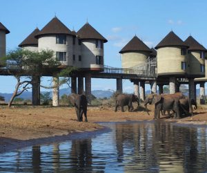 2-jours-Tsavo-Est-et-Ouest-au-départ-deMombasa