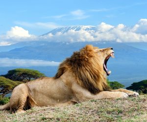 3-Jours-Safari-Amboseli