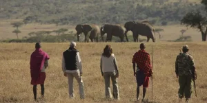 15 Jours safari authentique |Randonnées|Vélo| Pays Masai