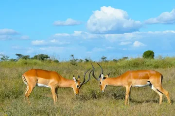 3 Jours au Départ de Kisumu