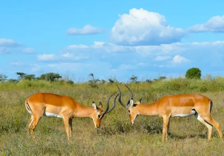 3 Jours au Départ de Kisumu