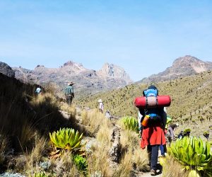 Randonnée-et-safari-de-8-jours-au-mont-Kenya