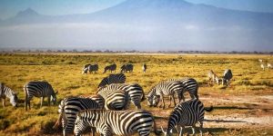 Safari Amboseli 3 Jours au Départ de Nairobi