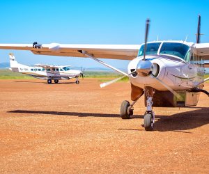Safari-en-avion-de-3-jours-dans-le-Masai-Mara--depuis-Diani-ou-Mombasa