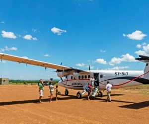 Safari-en-avion-de-3-jours-dans-le-Masai-Mara-depuis-Diani-ouMombasa