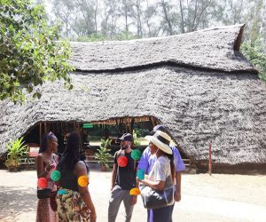 VisitezHallerMombasa
