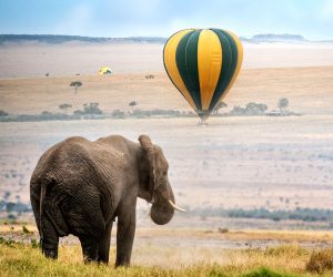 safari-en-montgolfière-dans-le-Masai-Mara-etAmboseli