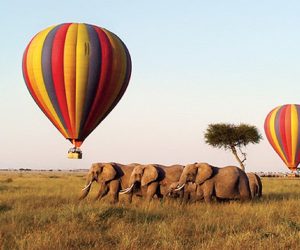 safari-en-montgolfière-dans-le-MasaiMara-et-Amboseli