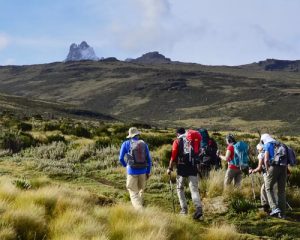 11-JourRandonnée-au-Mont-Kenya-et-Safari