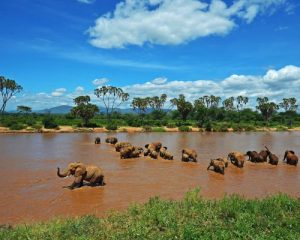 11-jours-de-randonnée-et-de-safari-au-montKenya