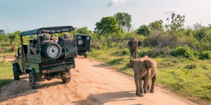 13 Jours Safari au Kenya