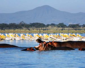 13Jours-Safari-au-Kenya