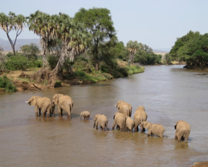 3 Jours Réserve Nationale de Samburu