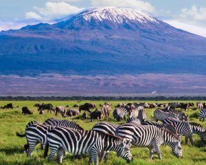 4-Jours-Safari-Amboseli-et-Tsavo