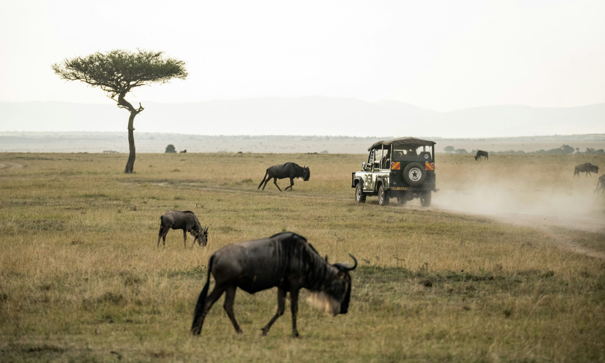 5 JourSafari Masai MaraLac NakuruNaivasha à partir de Nairobi