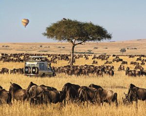 6-Jours-Safari-Kenya-à-Amboseli--Lac-Naivasha-et-Masai-Mara