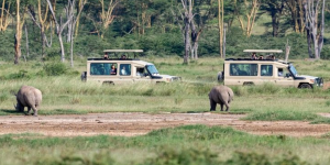 9 Jours Safari Safari classique au Kenya