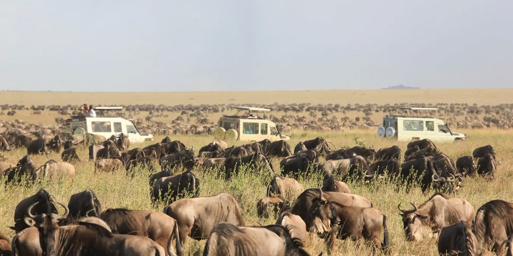 9 Jours Safari VéloPays Masai Plage au Kenya