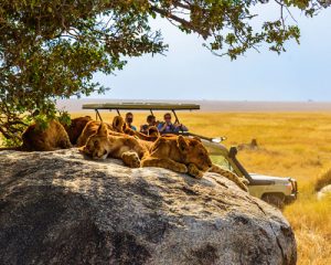 Safari-combiné-de-12-jours-au-Kenya-et-enTanzanie