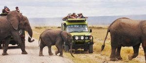 Safari-de-4-jours-à-AmbOseli,-Taita-Saltlick-et-Tsavo-Est