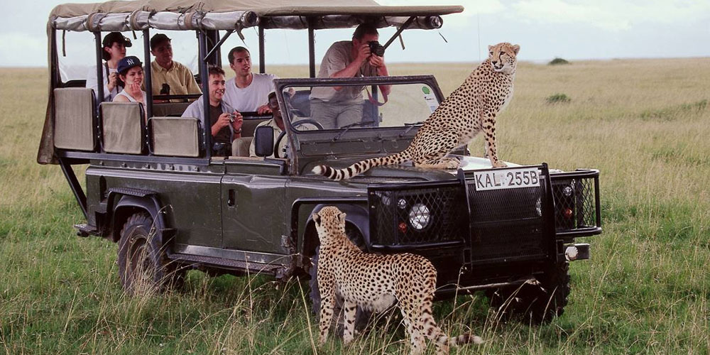 À quoi s’attendre lors de votre premier safari au Kenya