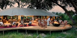 Camps de tentes de luxe : l’ultime expérience safari