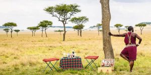 Combien coûte un safari au Kenya