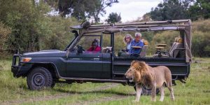 Combien de temps devriez-vous passer pour un safari au Kenya ?