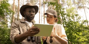 Comment Choisir le Bon Organisateur de Safari au Kenya