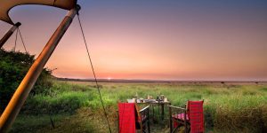 Conseils pour un safari sûr et en bonne santé au Kenya